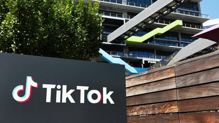 Solely 28% of People Assist Banning TikTok, Ballot Says