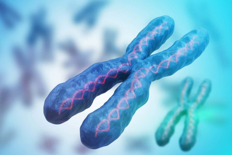 Autoimmune circumstances linked to reactivated X chromosome genes